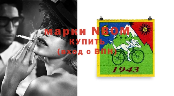 хмурый Алексин