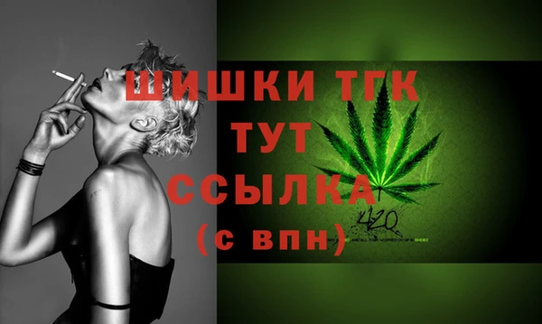 Альфа ПВП Няндома