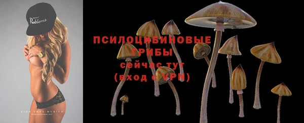 молекула духа Алзамай