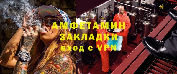 хмурый Алексин